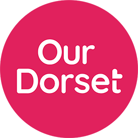 Our Dorset ICS website