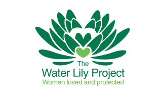 waterlily project