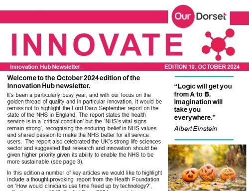 Publication of the October 2024 DIH Newsletter