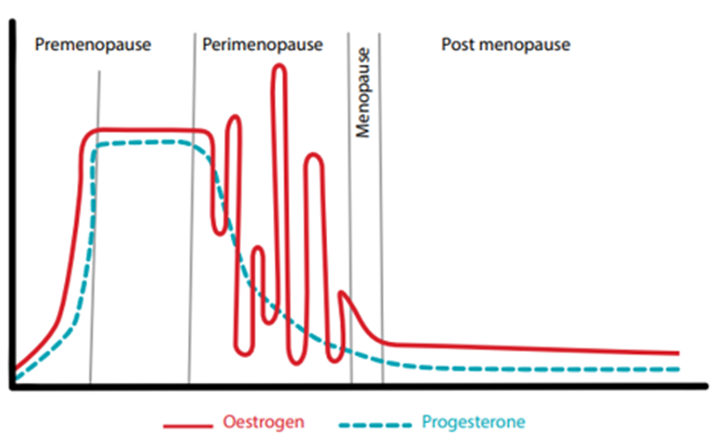 menopause graph